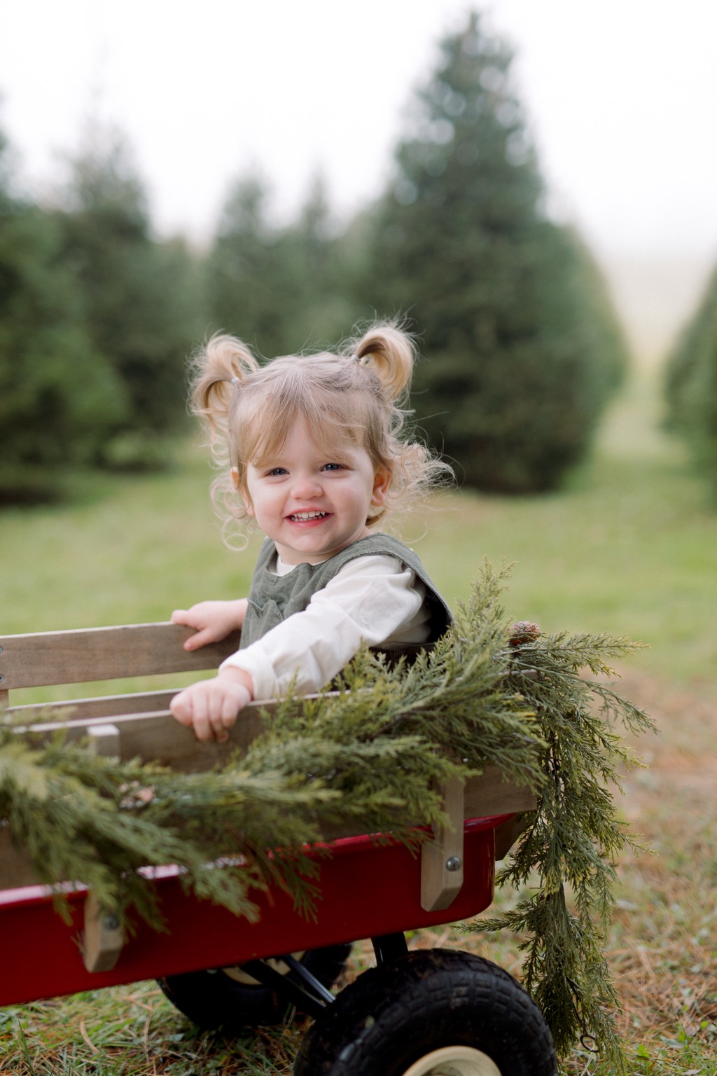 A joyful family portrait at the Tree Farm