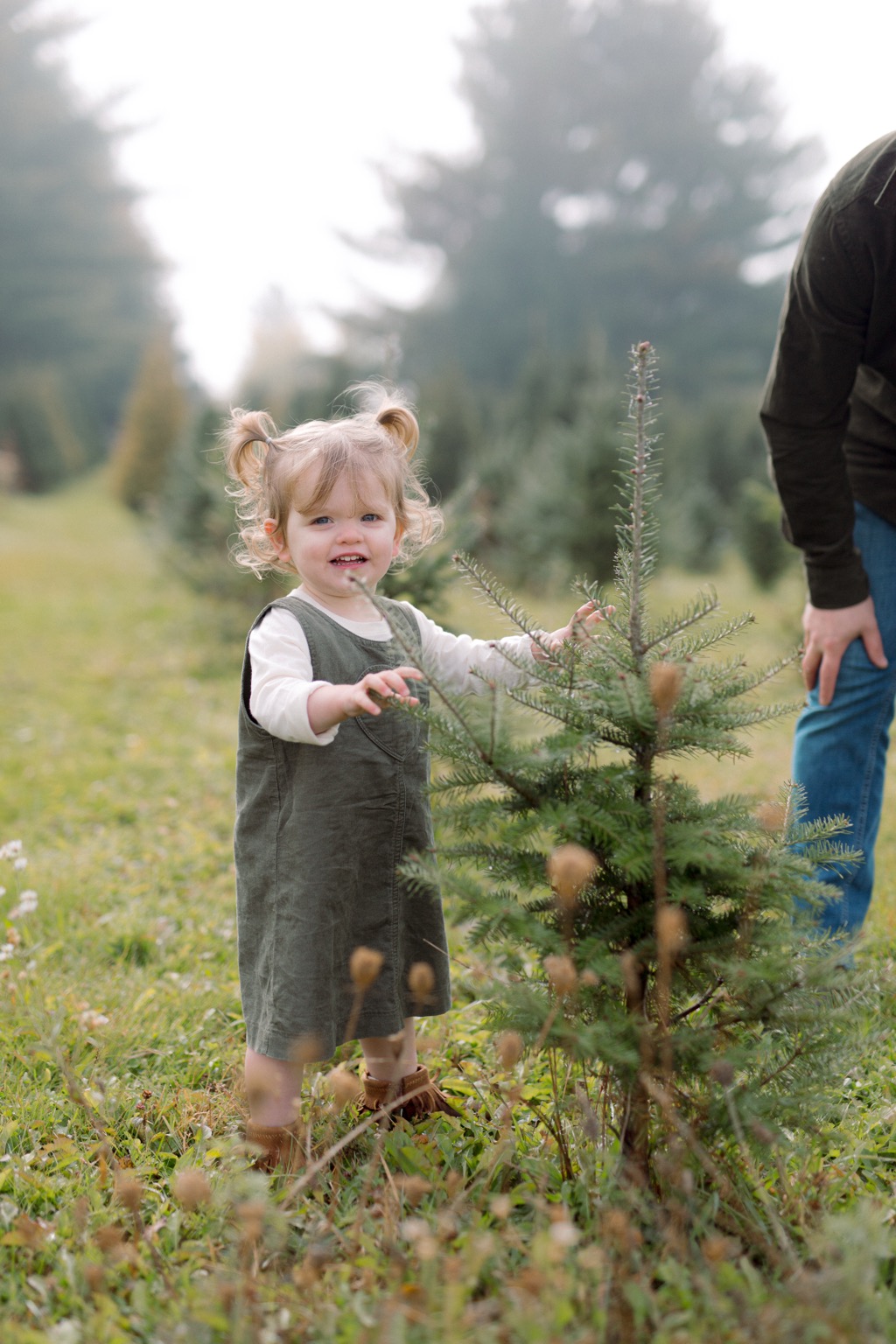 A playful Tree Farm family portrait